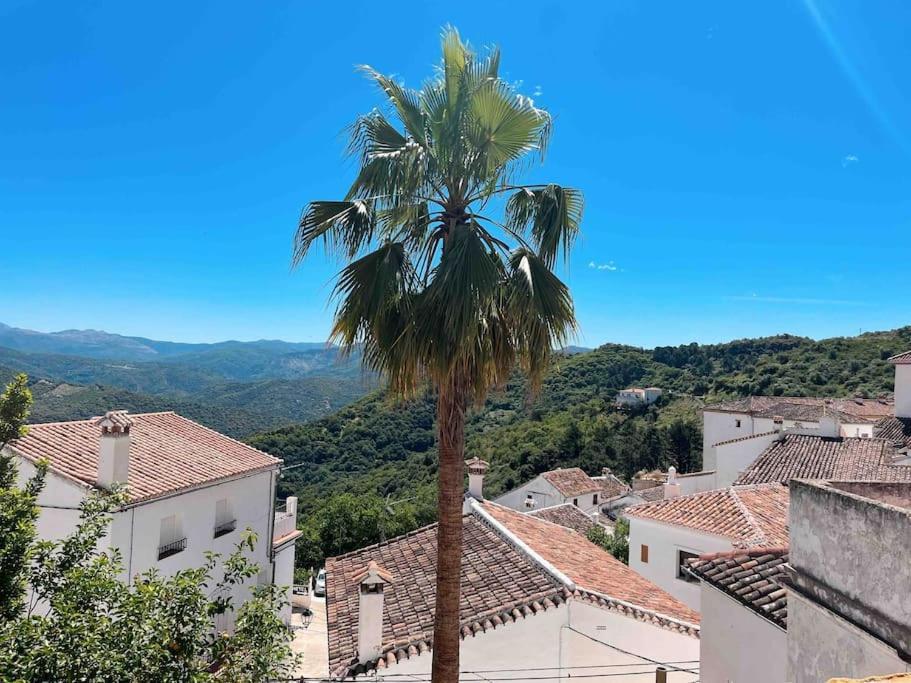 La Palmera. Casa Rural Con Piscina Privada. Benadalid Luaran gambar