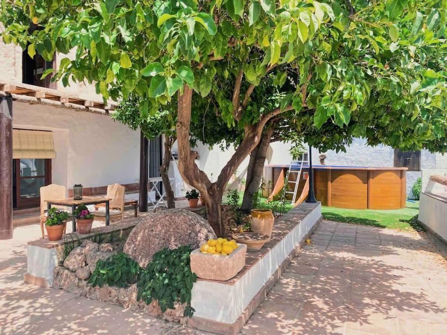 La Palmera. Casa Rural Con Piscina Privada. Benadalid Luaran gambar